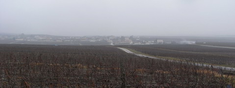 Mailly - Champagne - Village et coteaux -Brumes - fin Février 2009